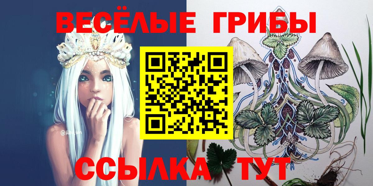 Галлюциногенные грибы мухоморы Петропавловск-Камчатский