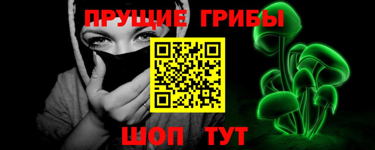Петропавловск-Камчатский  Галлюциногенные грибы Cubensis  Вход с VPN  Псилоцибиновые грибы прущие грибы 